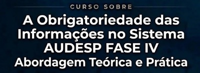 audesp iv.jpg